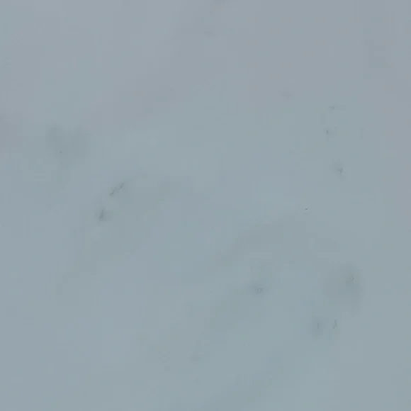 090 Free Country | EUC Women’s Hooded Water-Resistant Jacket (size 2XL) - Picture 12 of 16